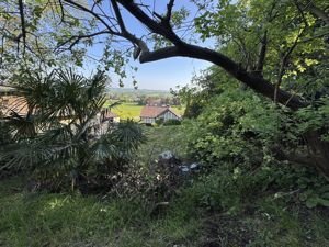 View from Upper Path- click for photo gallery